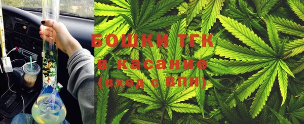 МДПВ Протвино