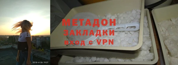 прущие грибы Дмитров