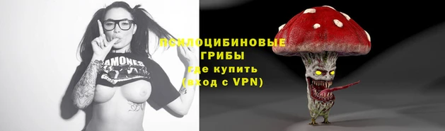 прущие грибы Дмитров