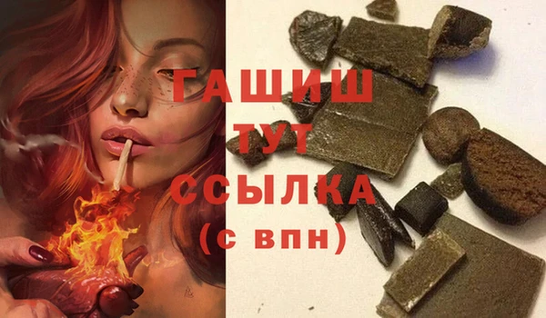 МДПВ Протвино