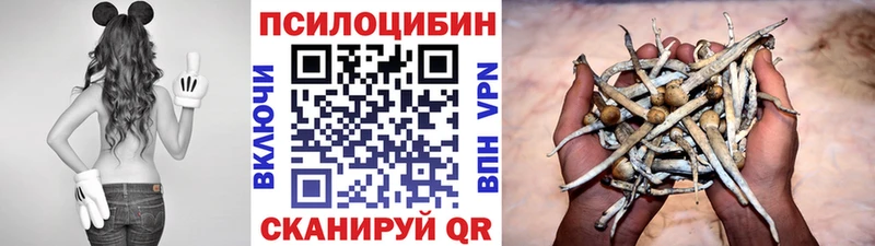 Галлюциногенные грибы Cubensis  Сегежа 