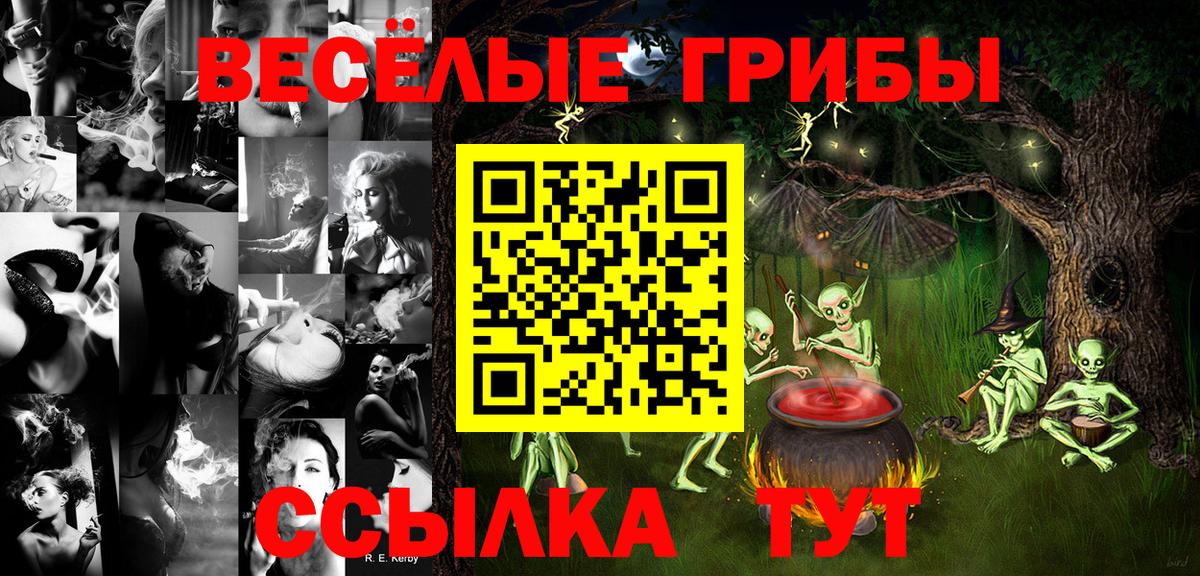 Сегежа  Галлюциногенные грибы мицелий  Вход с VPN  Псилоцибиновые грибы GOLDEN TEACHER 